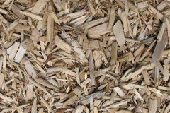 biomass boilers Braythorn